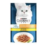 پوچ گربه خورشتی با طعم مرغ گورمت – Gourmet Chicken