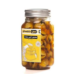 معجون اَنجیرعسلی(ترکیب اَنجیرهای با کیفیت و مرغوب و عسل کنار اعلا)( 720 گرم خالص)