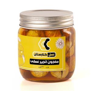 معجون اَنجیرعسلی(ترکیب اَنجیرهای با کیفیت و مرغوب و عسل کنار اعلا)( 320 گرم خالص)