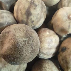 لیمو عمانی مرغوب  250g