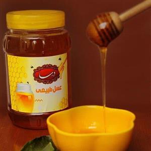 عسل(درسا) کاملا طبیعی و خوش خوراک یک کیلویی محلات با کیفیت 