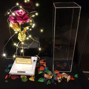 هدیه باکس گلکسی گل رز طلایی مدل پایه فرشته غنچه سرخابی