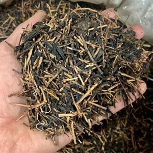 چوب چای (ساقه) بهاره – 1 کیلوگرم – ارسال رایگان