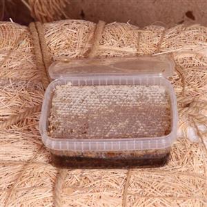 عسل طبیعی رس حاج کندو - 1000 گرم