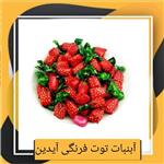 آبنبات توت فرنگی آیدین (800 گرمی) طبعی نو