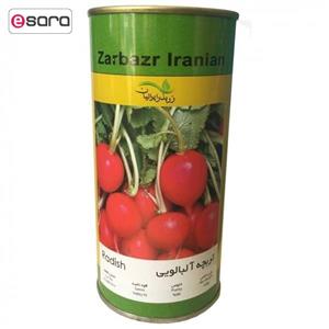 بذر تربچه آلبالویی زر بذر