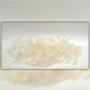کتیرا سرگل کتیرا صدفی کتیرا خوراکی مبین بسته ی 10 گرمی