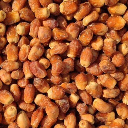 خرما زاهدی فله