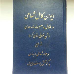کتاب دیوان کامل شعاعی