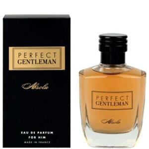 عطر ادکلن مردانه آرت اند پرفیوم مدل جنتلمن GENTLEMANABSOLU