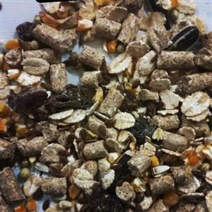 آجیلی اسبی ( 20 کیلویی) درجه 1