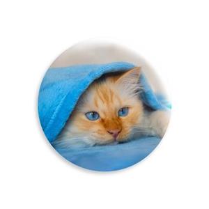 پیکسل اسی مدل گربه با مزه و کیوت cute cat کد G-516