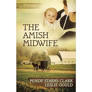 کتاب زبان اصلی The Amish Midwife The Women of Lancaster County 