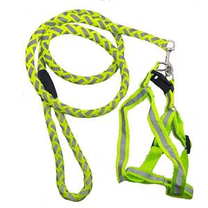 قلاده و بند قلاده سگ مدل کمری شب نما