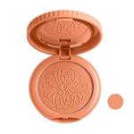 رژگونه پاستل مدل SPRING BLUSH_ON شماره 15