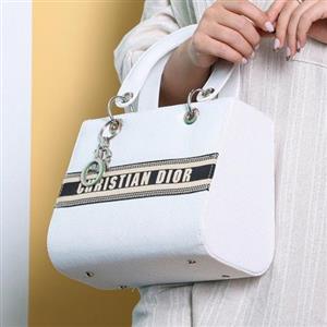 کیف دخترانه های کپی دیور در دورنگ