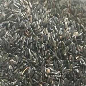 کتان سیاه یاهمان نیجر درجه یک250گرمی