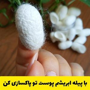 پیله ابریشم بند انگشتی درشت پاکسازی پوست مناسب انواع پوست