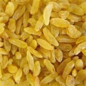 کشمش قلمی زرد امساله 500گرم
