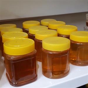 عسل بهاره اصل لرستان قوطی های نیم کیلویی