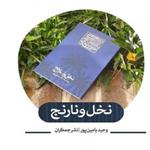 کتاب نخل و نارنج  به زیبایی زندگی  دانشمند بزرگ ترسیم شده