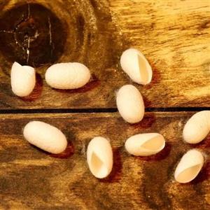 پیله ابریشم پاکسازی پوست