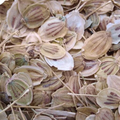 برگ گلپر فله ای