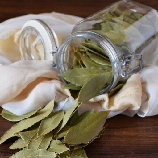 برگ بو فله ای
