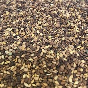 کنجد خام بدون افزودنی بسته بندی یک کیلو گرمی 