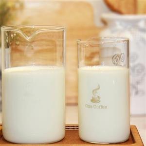 شیشه یدک فرنچ پرس