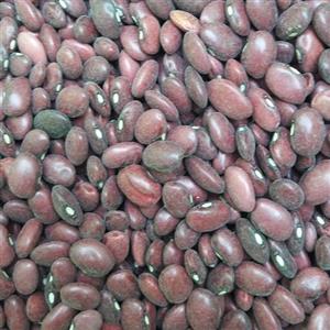 لوبیا قرمز ایرانی درجه یک