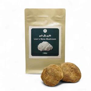 قارچ یال شیر خشک بسته 100گرمی