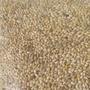 ارزن کتان مخلوط یک کیلو