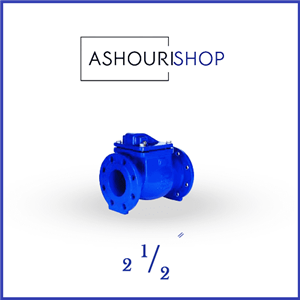 شیر یکطرفه دریچه ای چدنی PN10-16 سایز 2,1/2 اینچ میراب