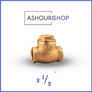 شیر یکطرفه دریچه ای سیم ایتالیا PN16-80 سایز 2,1/2 اینچ