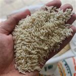 برنج هاشمی دو بار الک پارساله 10 کیلویی