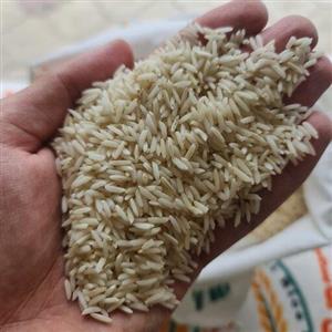 برنج هاشمی دو بار الک پارساله 10 کیلویی
