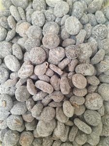 انجیر آردی  یا سکه ای فله ای