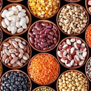 لوبیا قرمز  خوشپخت درجه یک و طبیعی در بسته بندی های 1کیلویی