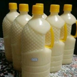 روغن شتر مرغ خالص