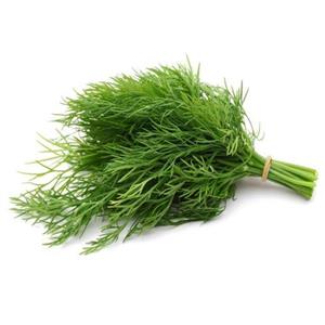 بذر شوید(بسته بندی 1کیلو گرمی)