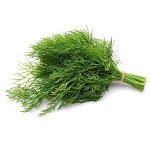 بذر شوید(بسته بندی 100 گرمی)