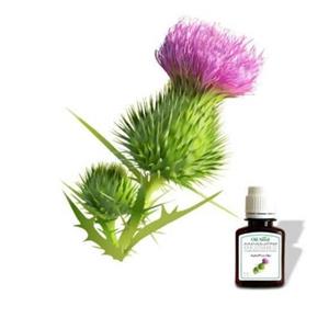روغن خار مریم 60 سی سی مناسب پوست و مو و کبد  و کک ومک صورت