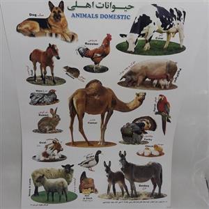 بر چسب آموزشی حیوانات اهلی
