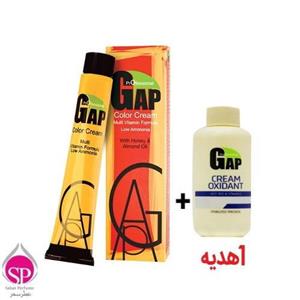 کیت رنگ مو گپ سری زیتونی مدل بلوند زیتونی خیلی روشن شماره 10.2 Gap Matt Hair Color Model Super Light Matt Blonde no 10.2