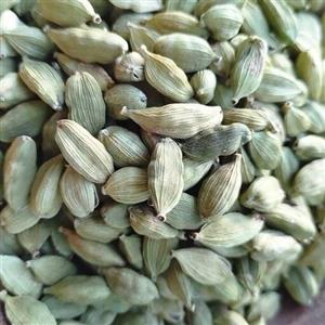 هل اکبر بنفش درشت
