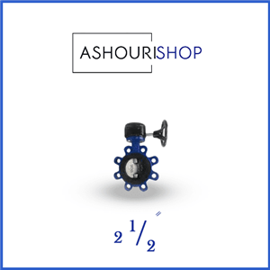 شیر پروانه ای لاگ چدنی PN16 سایز 2,1/2 اینچ وگ ایران (بی همتا)