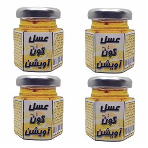 عسل گون آویشن نوند - 60 گرم بسته 4 عددی