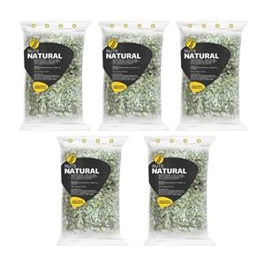 مغز تخمه کدو خام نچرال - 100 گرم بسته 5 عددی 