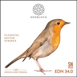 سیم گیتار نابلوخ مدل EDN34